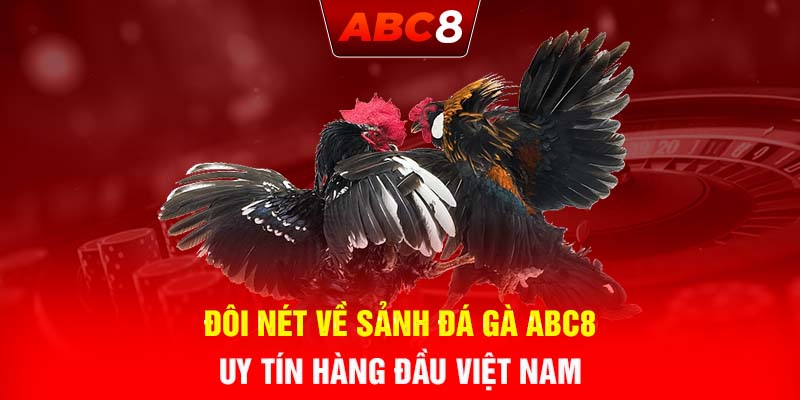 Đôi nét về sảnh đá gà ABC8 uy tín hàng đầu Việt Nam