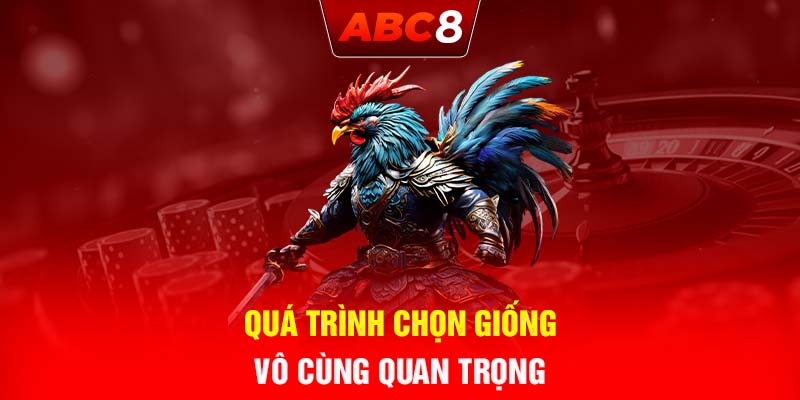 Quá trình chọn giống vô cùng quan trọng