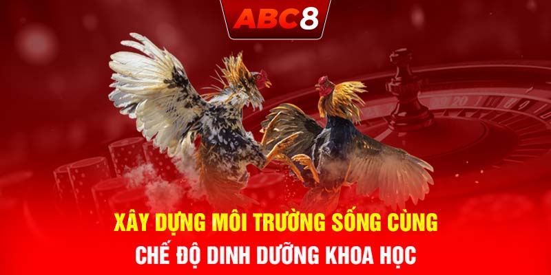 Xây dựng môi trường sống cùng chế độ dinh dưỡng khoa học